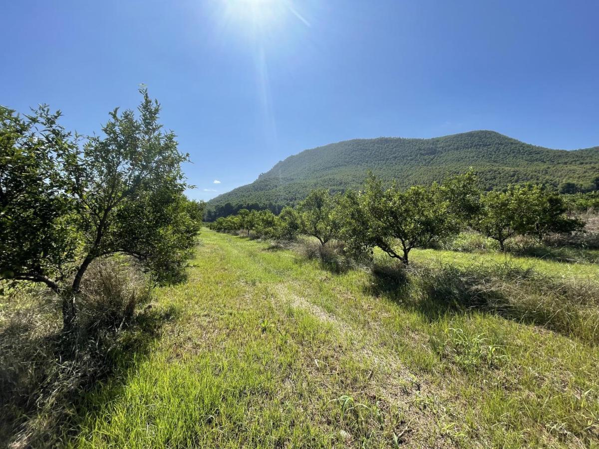Casa Ramoncico. Finca El Campillo Blanca Dış mekan fotoğraf