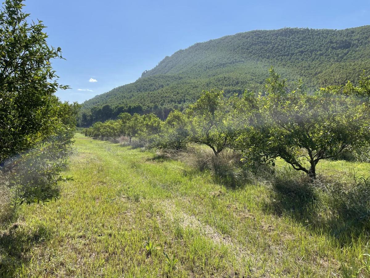 Casa Ramoncico. Finca El Campillo Blanca Dış mekan fotoğraf