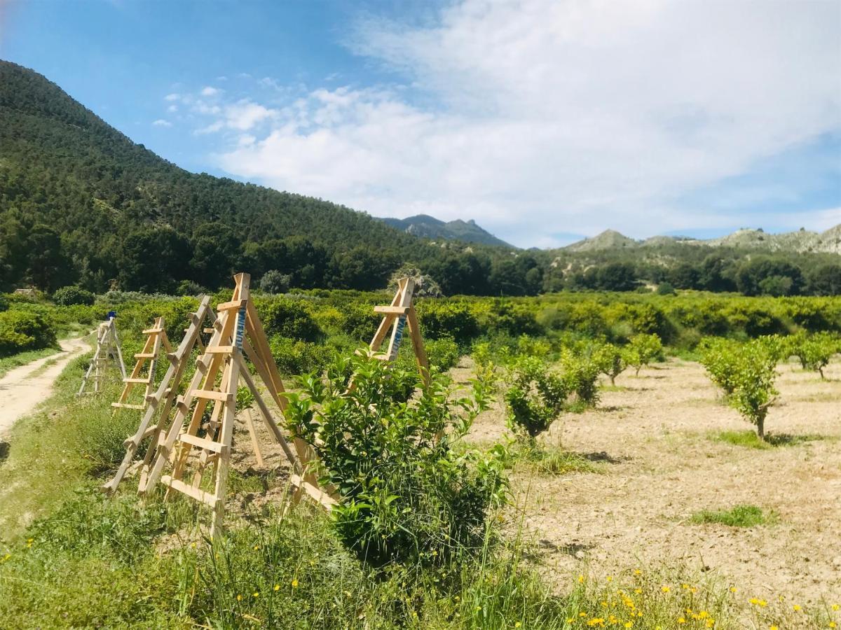 Casa Ramoncico. Finca El Campillo Blanca Dış mekan fotoğraf
