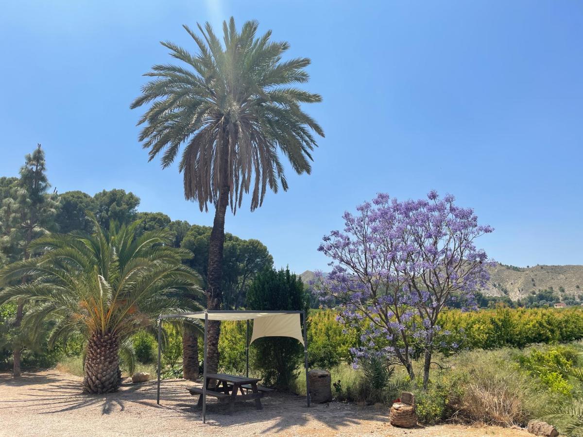 Casa Ramoncico. Finca El Campillo Blanca Dış mekan fotoğraf
