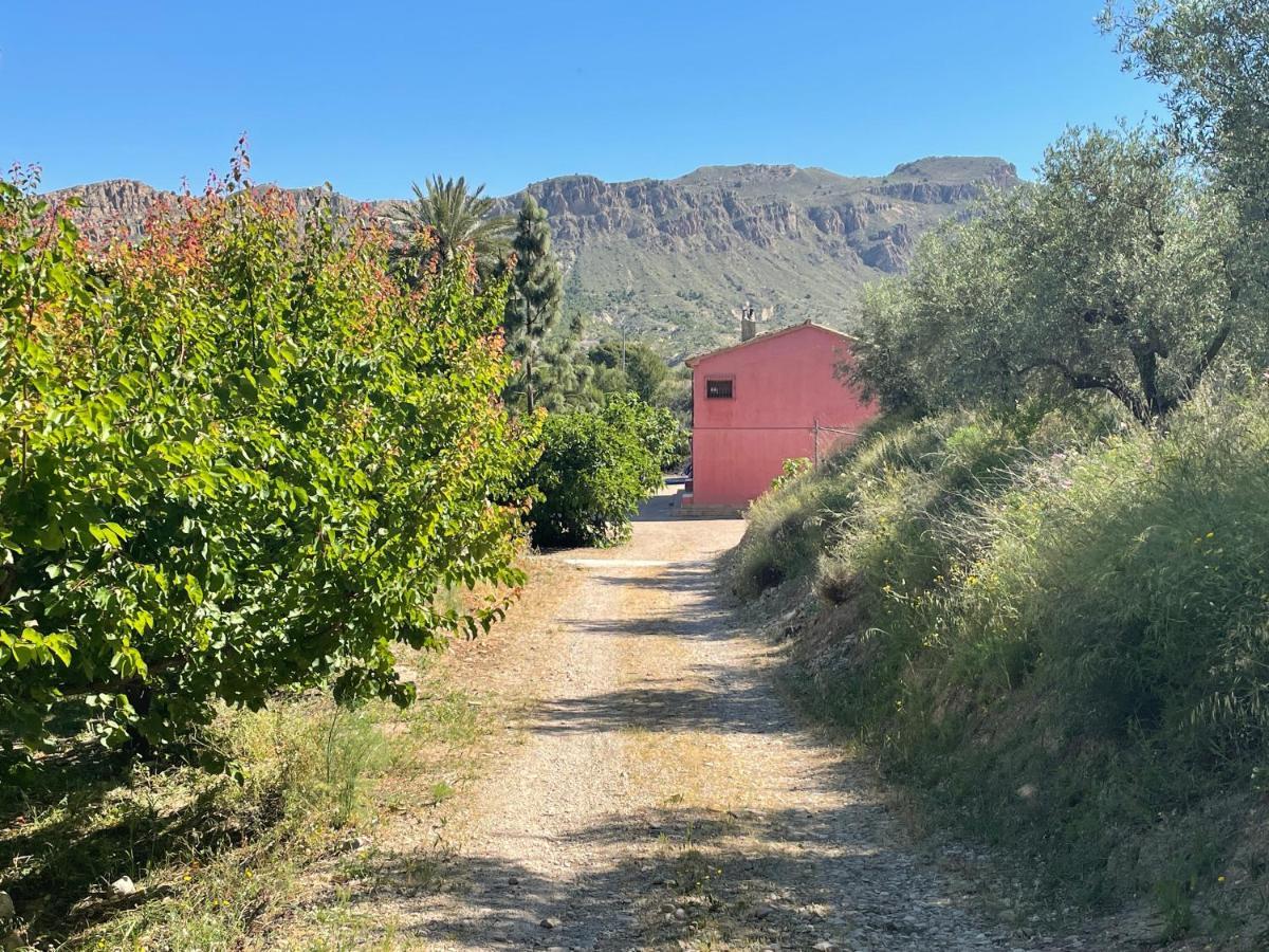 Casa Ramoncico. Finca El Campillo Blanca Dış mekan fotoğraf
