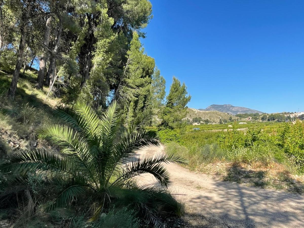 Casa Ramoncico. Finca El Campillo Blanca Dış mekan fotoğraf